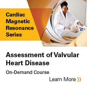 Cardiac Amyloidosis: Characteristics on Echocardiography and Cardiovascular Magnetic Resonance Imaging-Enduring Banner